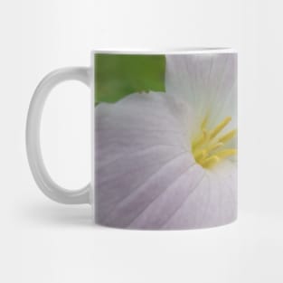 Trillium Mug